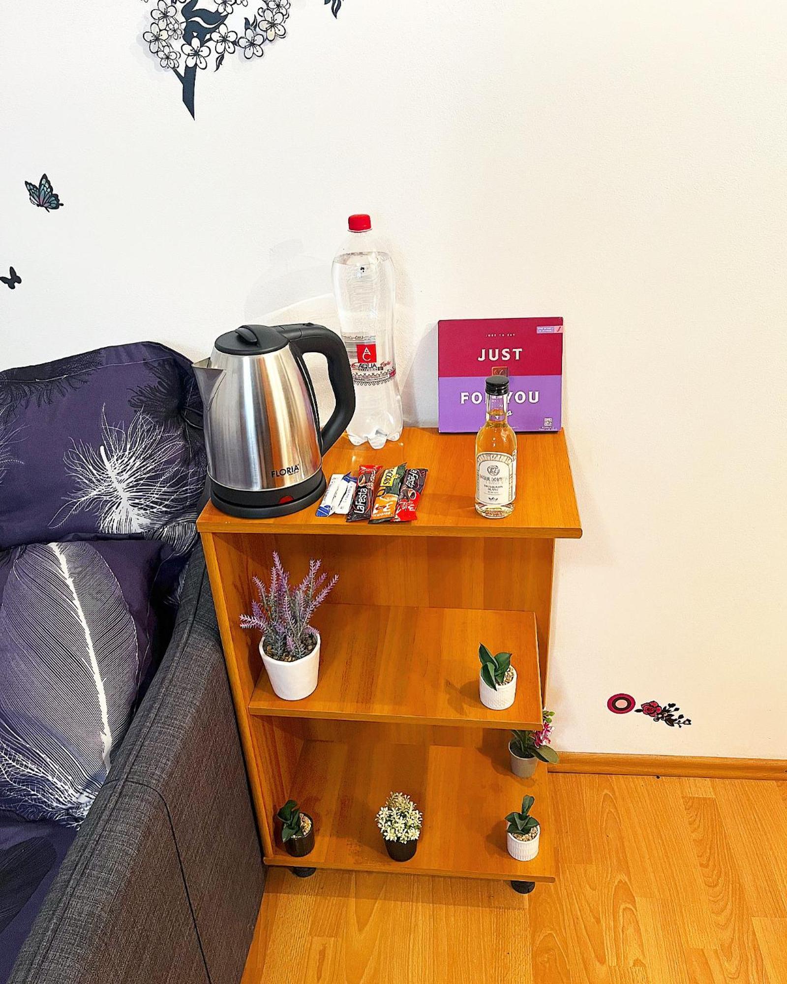 Apartament Casa Andu Piata Alba Iulia